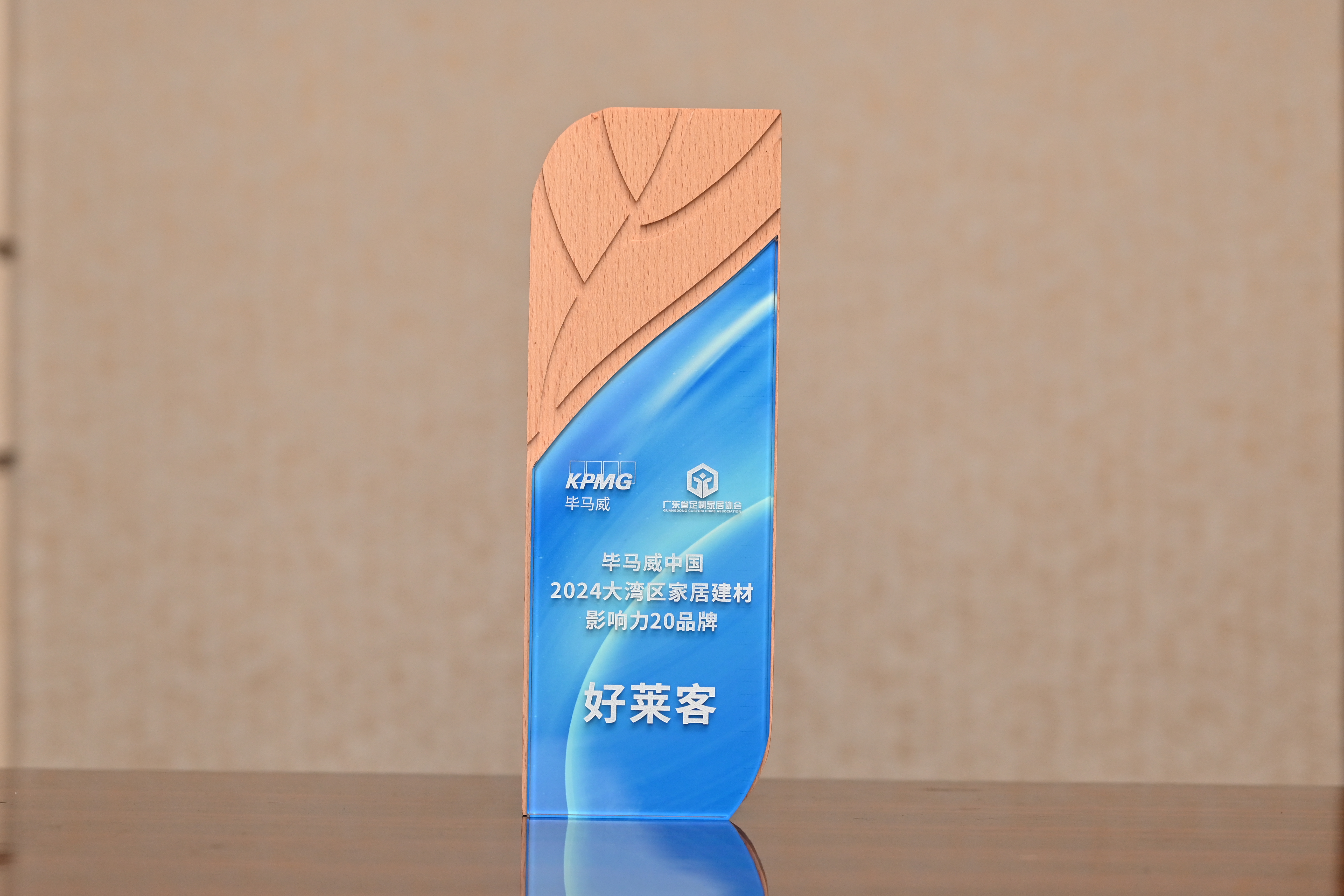 毕马威中国2024大湾区家居建材影响力20品牌